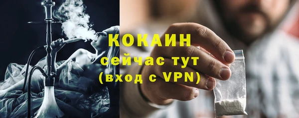 эйфоретик Богданович
