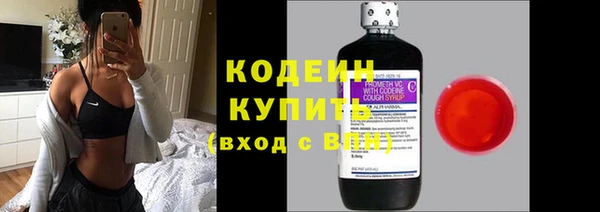 стаф Богородицк