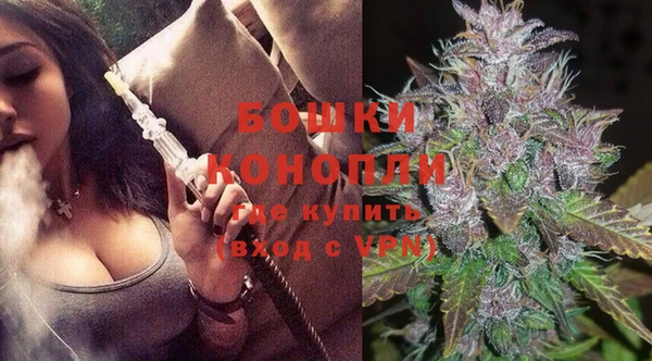 эйфоретик Богданович