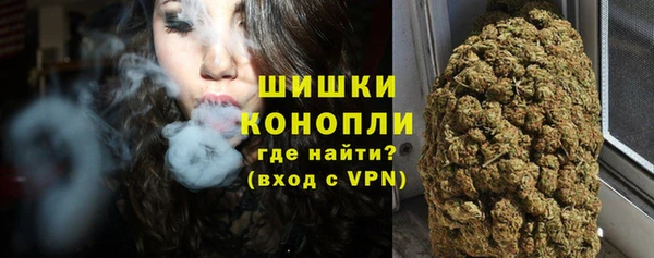 стаф Богородицк