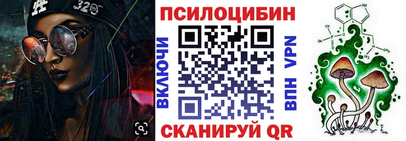 Купить закладки  Волосово  Псилоцибиновые грибы Cubensis 